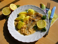 Schonkost